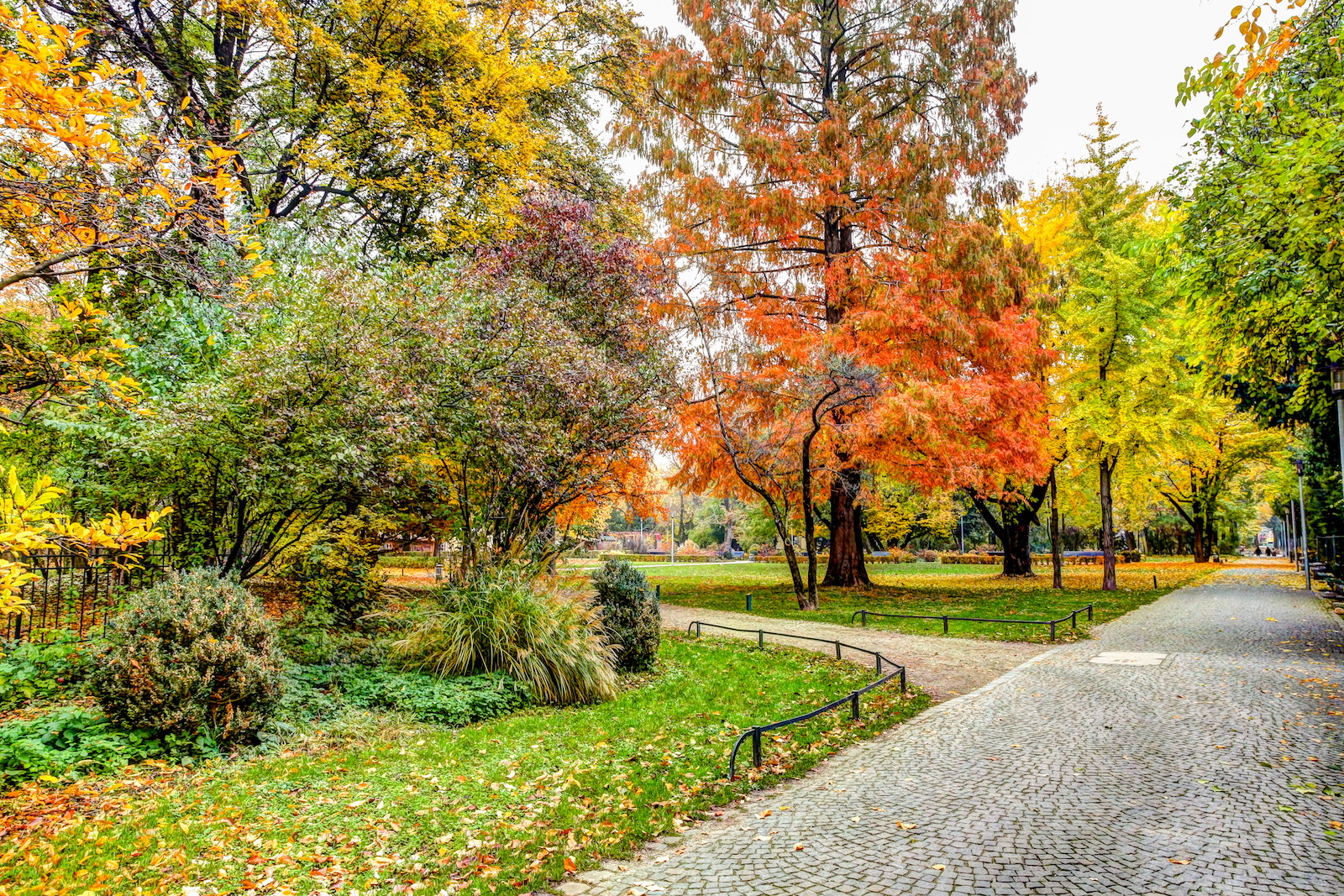 2018 EUROPE FALL-2.JPG