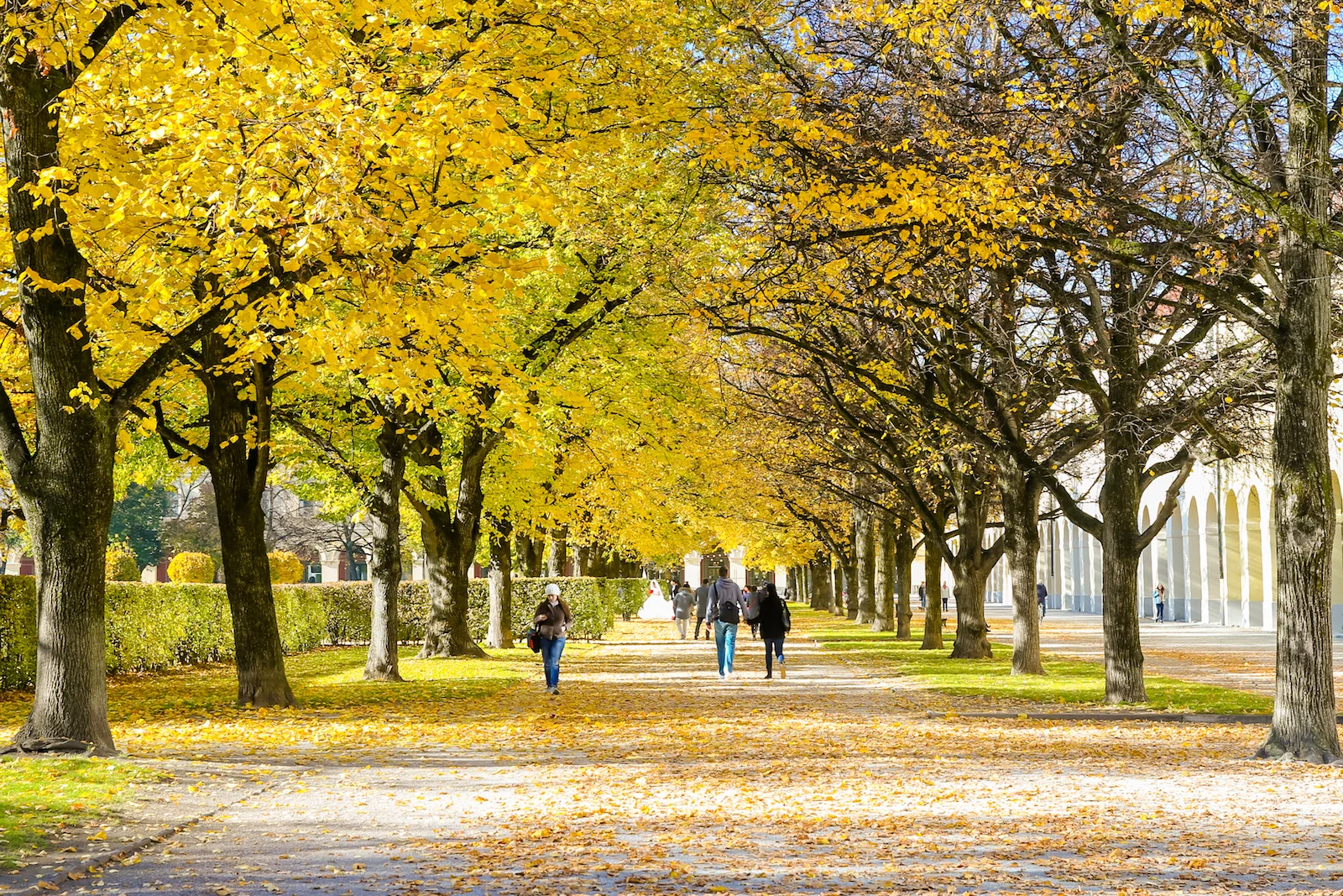 2018 EUROPE FALL-104.JPG