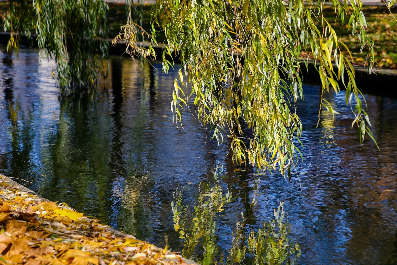 2018 EUROPE FALL-107.JPG