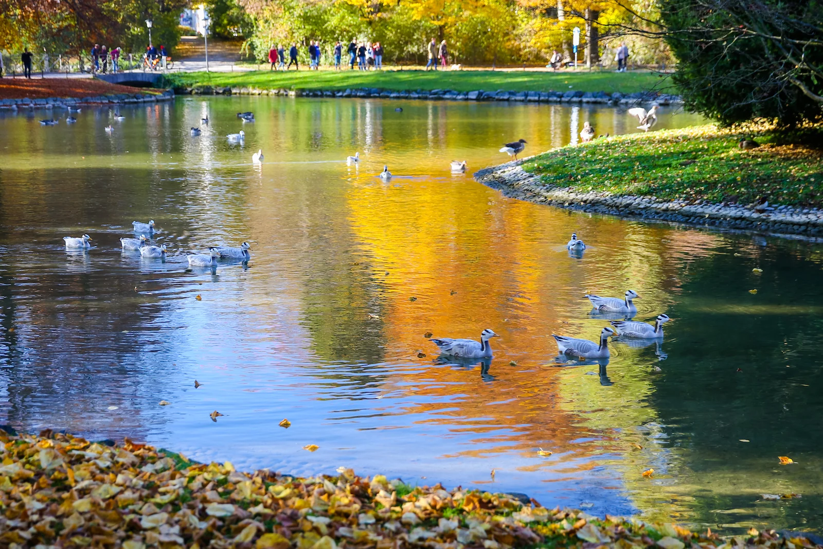 2018 EUROPE FALL-130.JPG