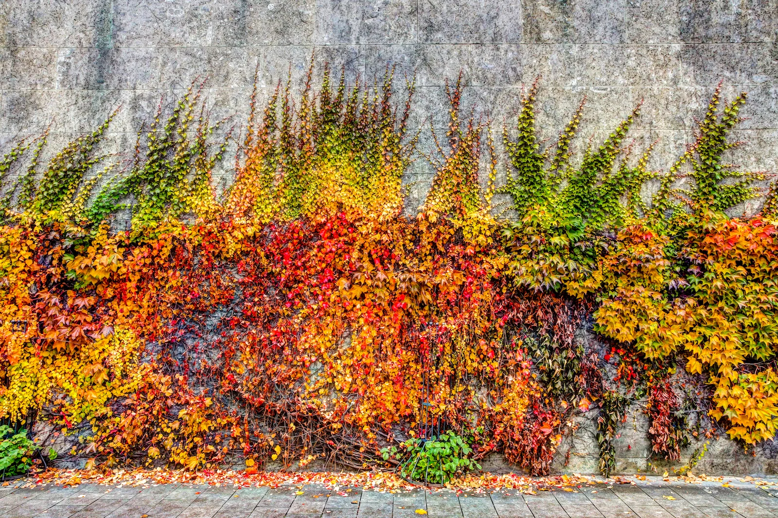 2018 EUROPE FALL-158.JPG