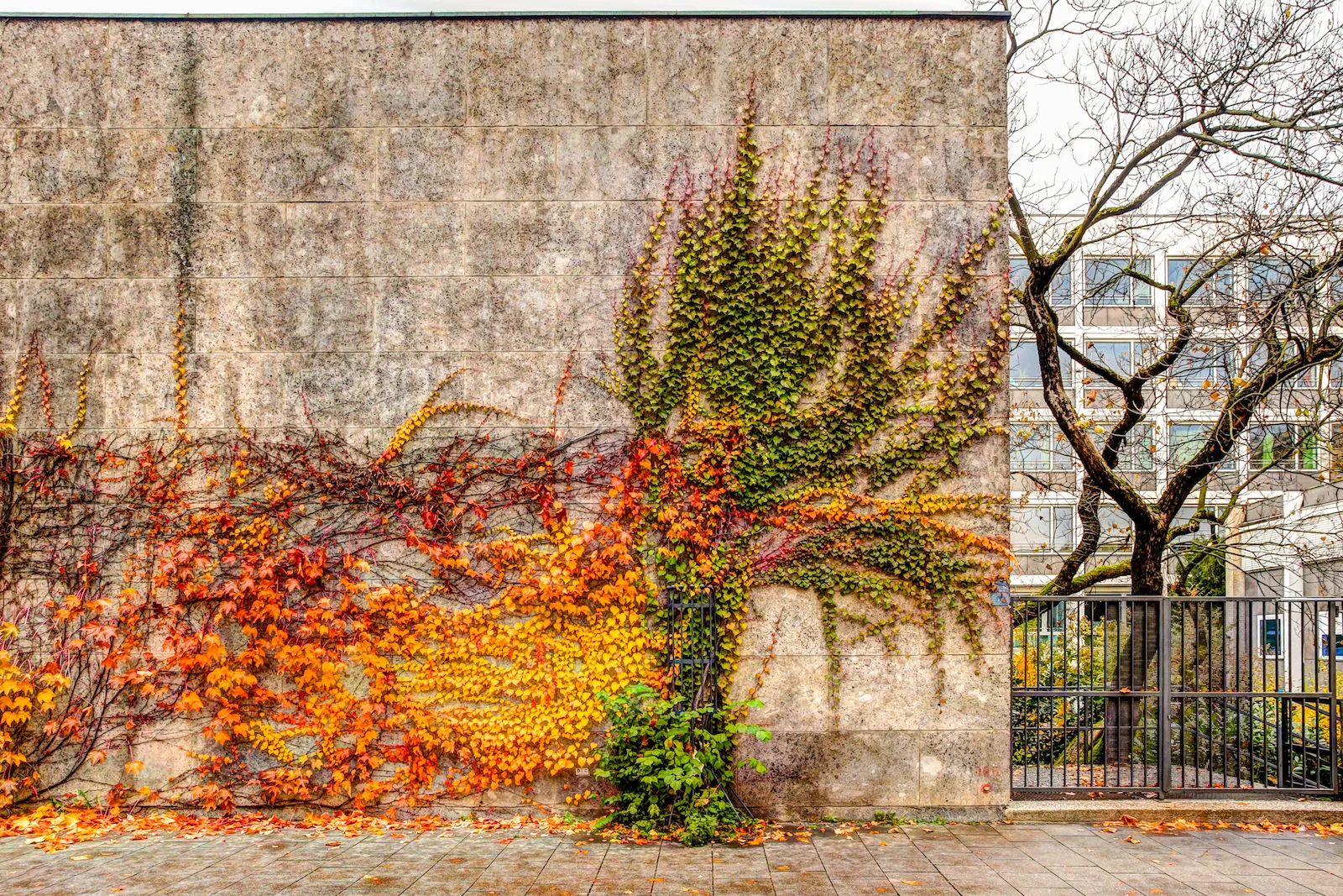 2018 EUROPE FALL-159.JPG