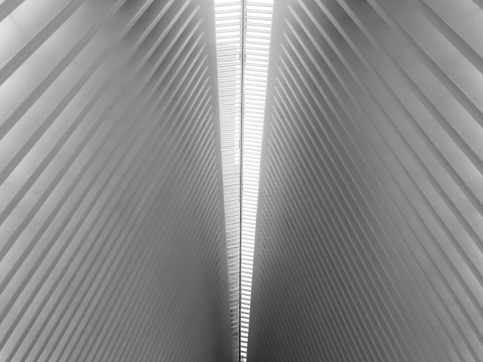 2019 NYC-45.JPG
