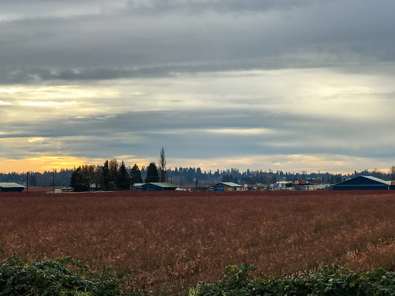 2018 Pitt Meadows-4.JPG