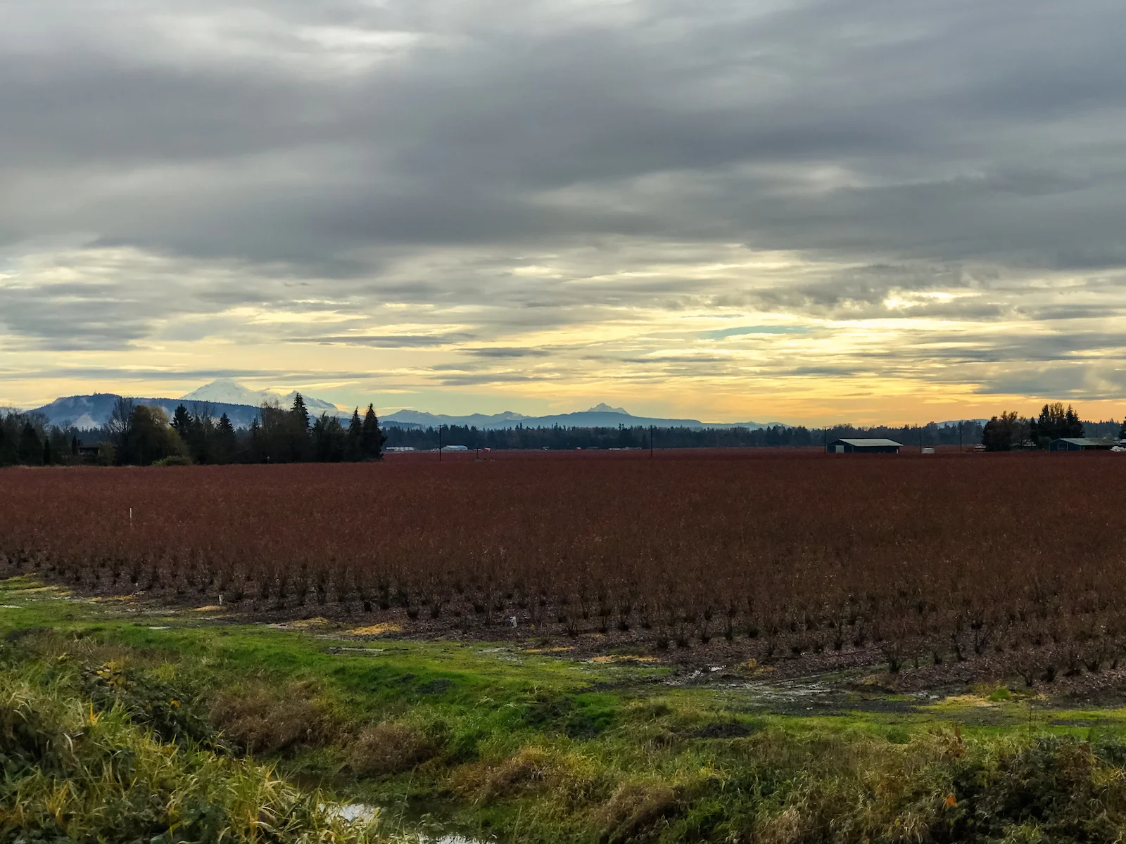 2018 Pitt Meadows-5.JPG