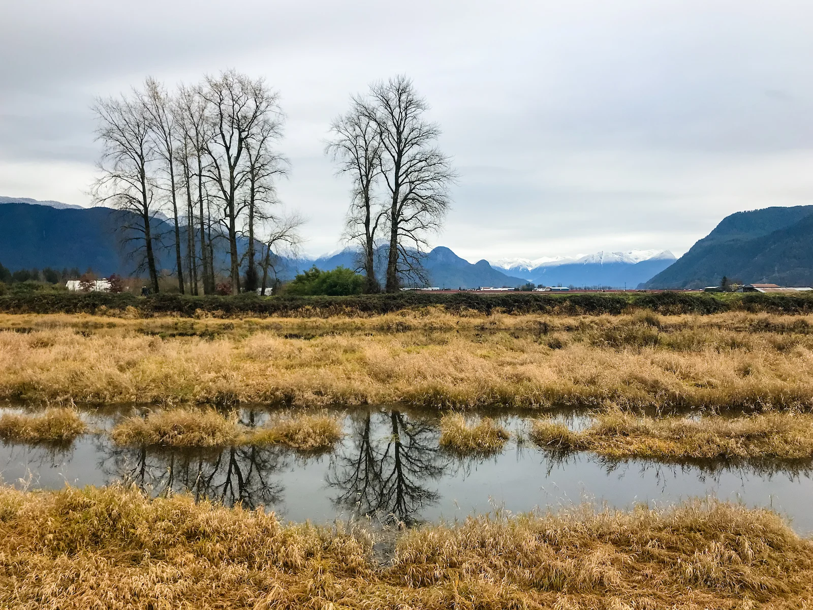 2018 Pitt Meadows-6.JPG