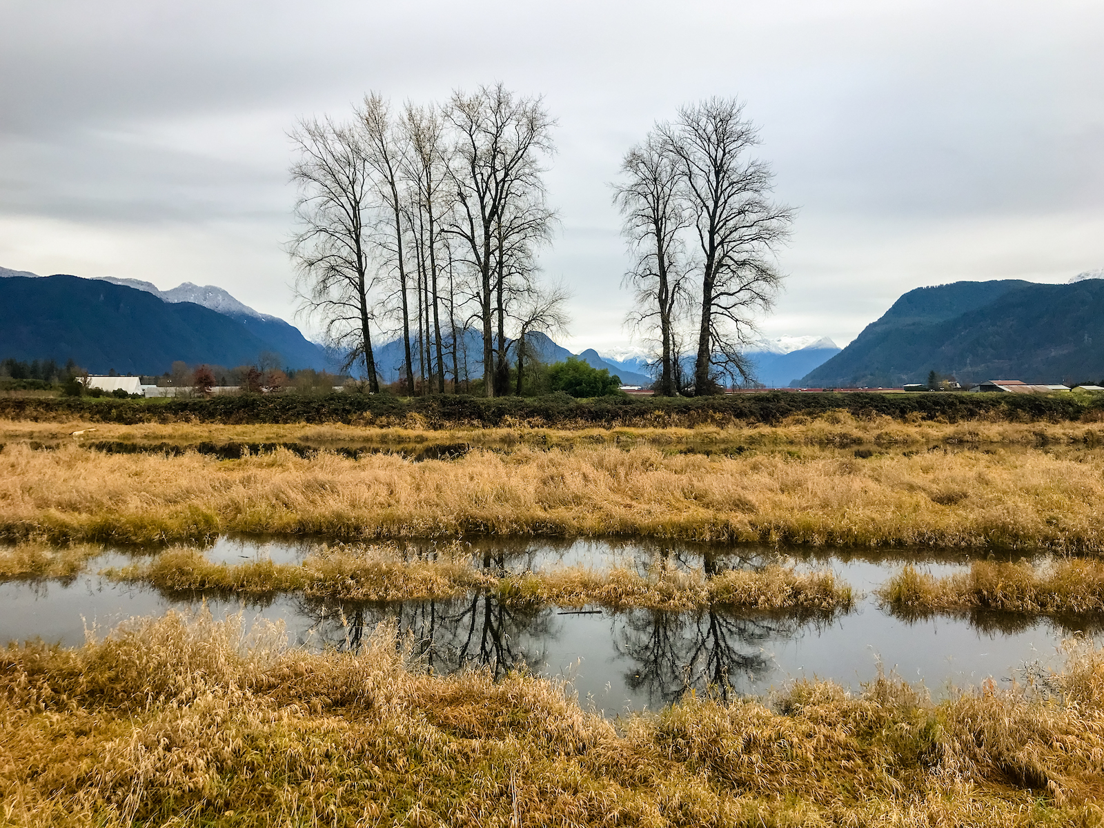 2018 Pitt Meadows-7.JPG