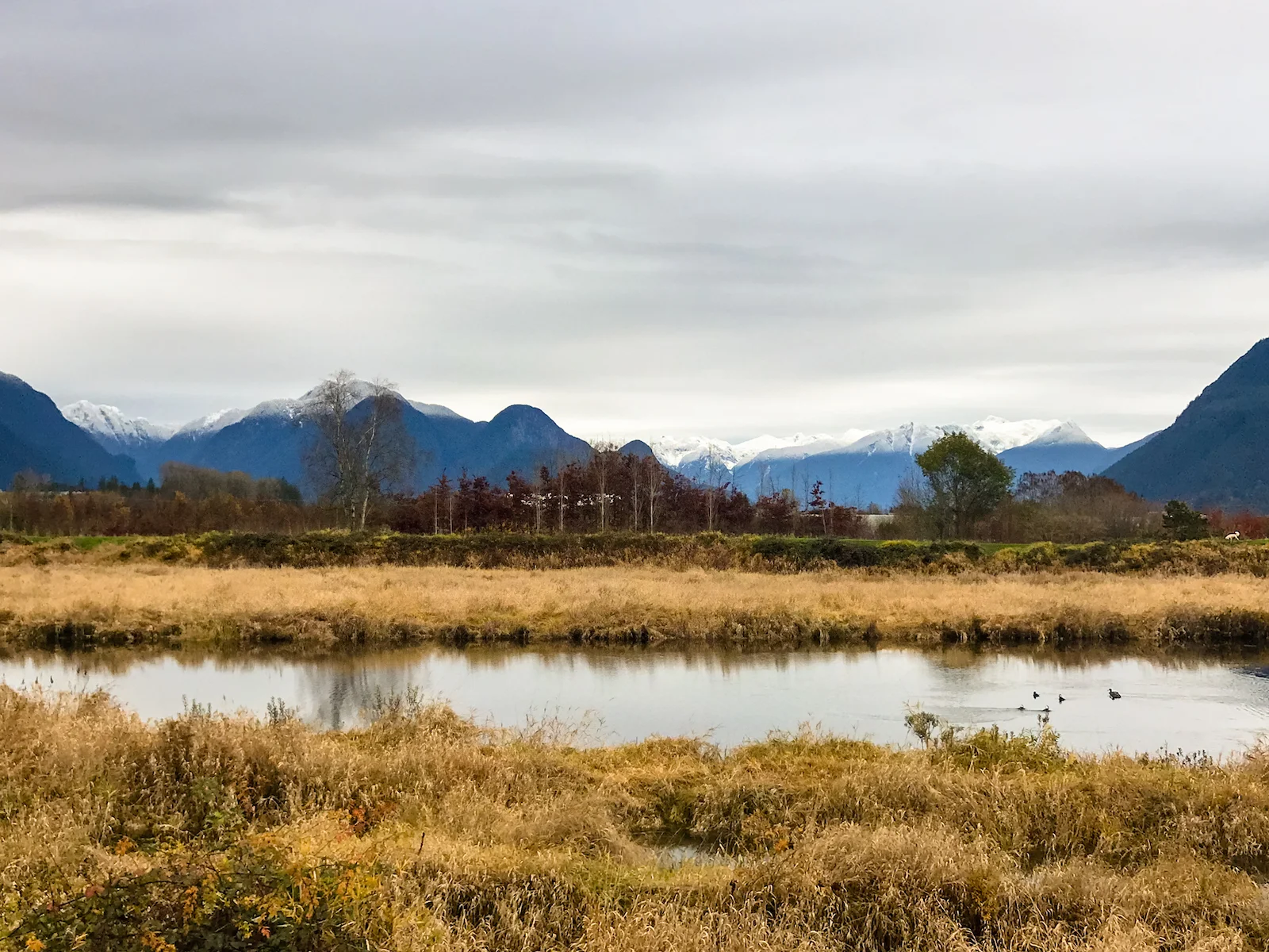 2018 Pitt Meadows-8.JPG