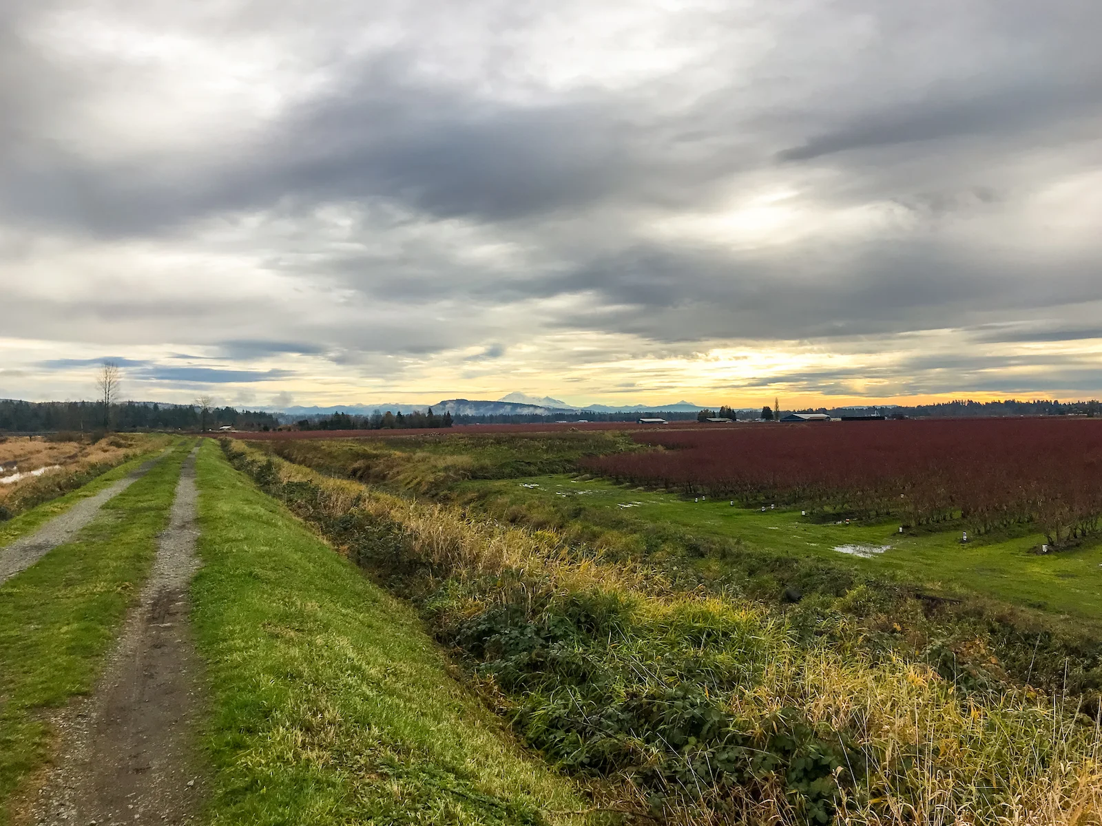 2018 Pitt Meadows-9.JPG