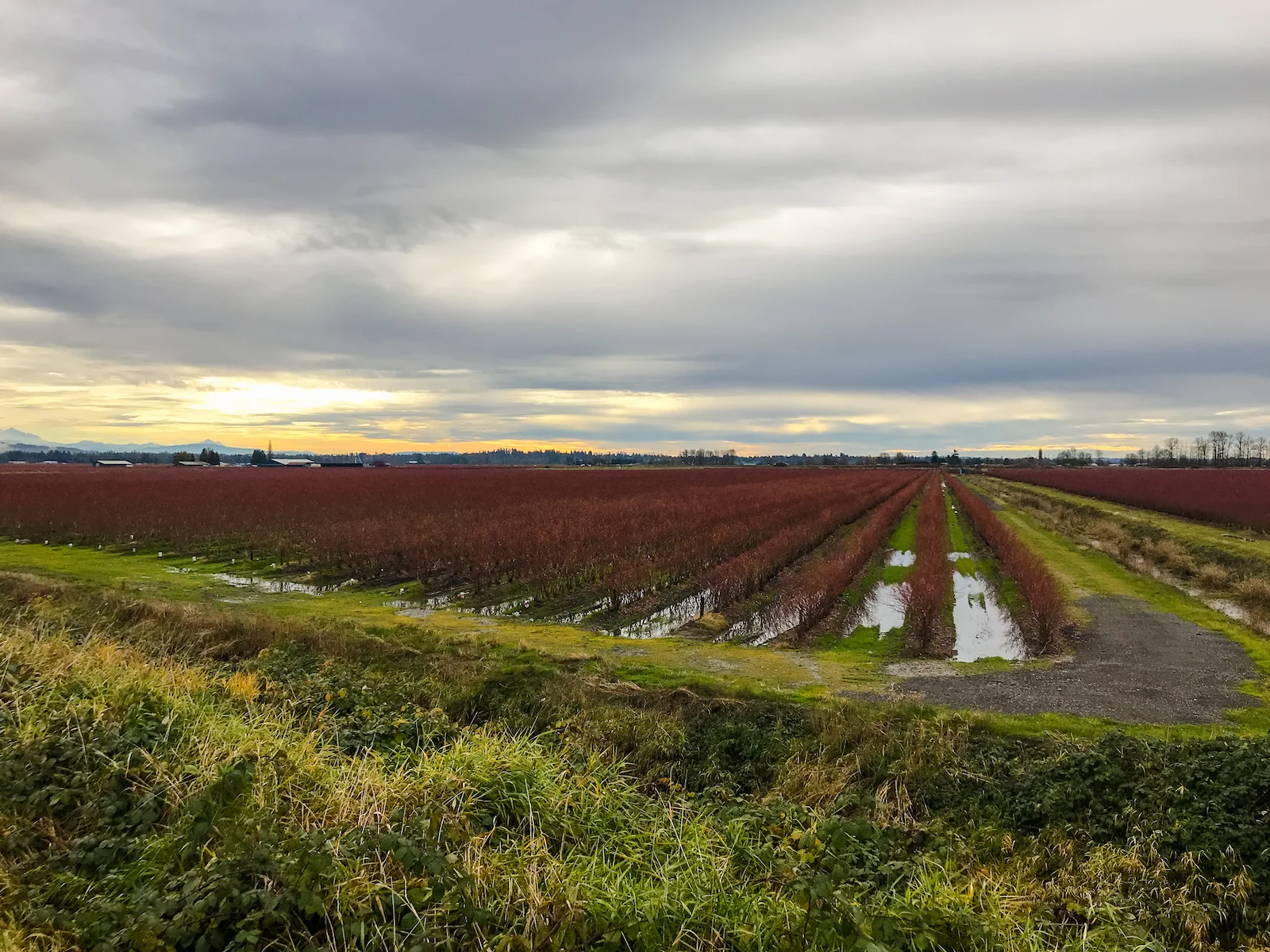 2018 Pitt Meadows-11.JPG