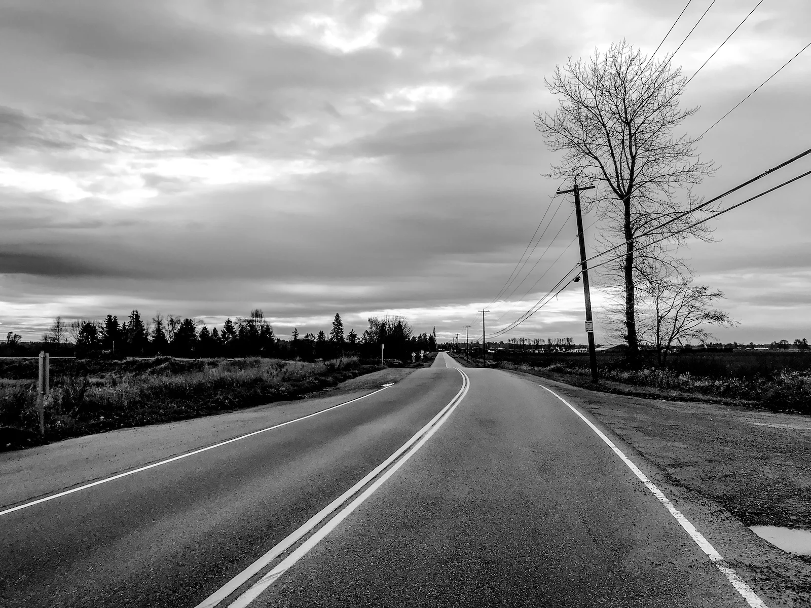 2018 Pitt Meadows-13.JPG