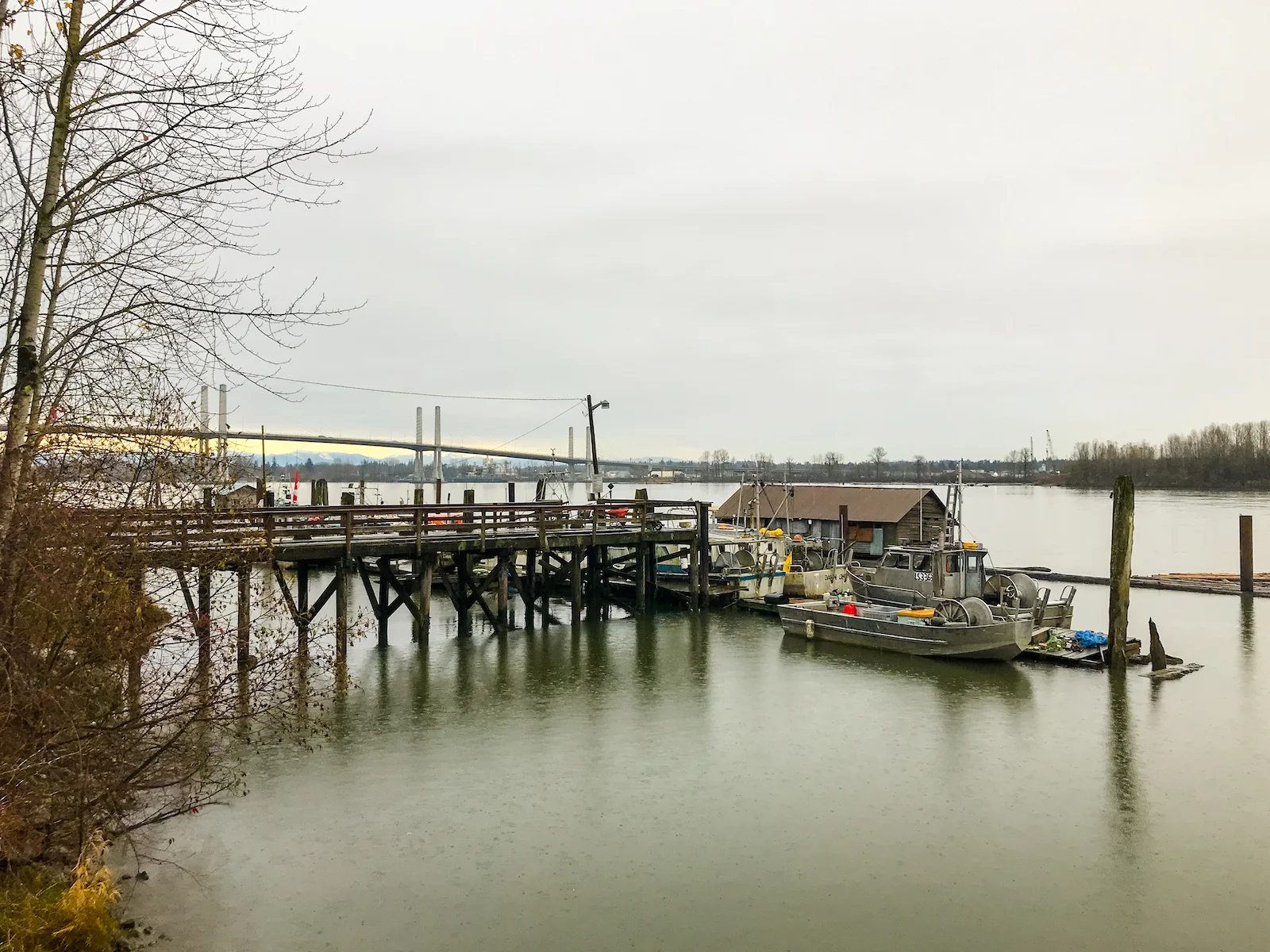 2018 Pitt Meadows-14.JPG