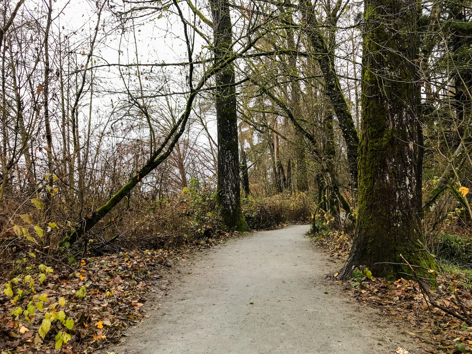 2018 Pitt Meadows-15.JPG