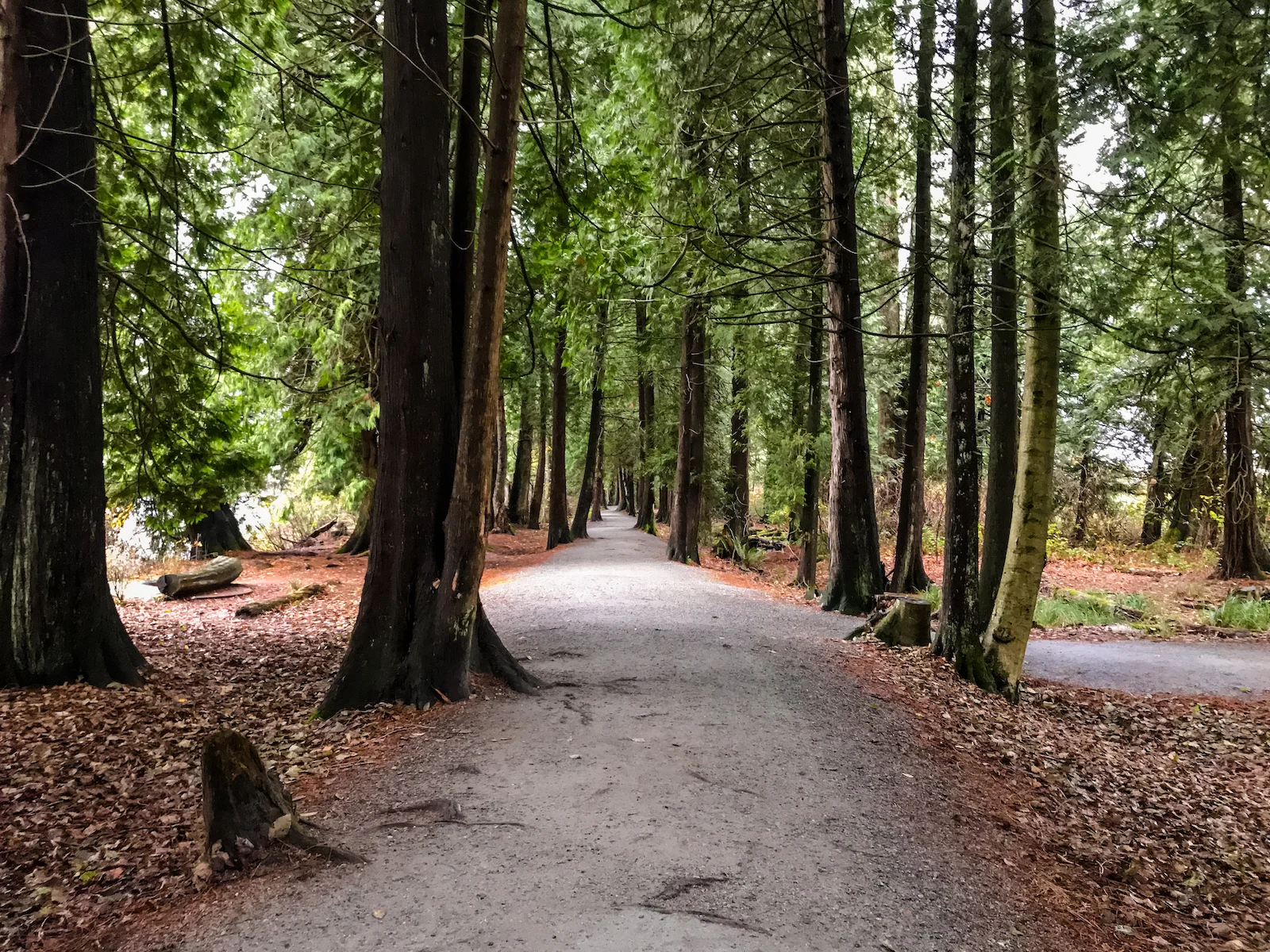 2018 Pitt Meadows-17.JPG