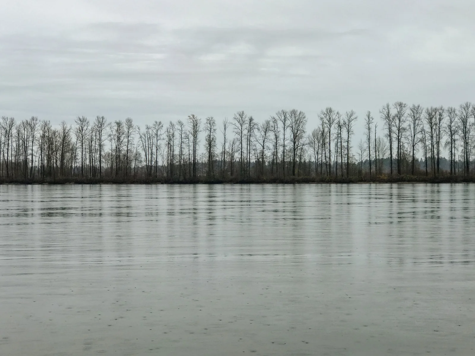 2018 Pitt Meadows-19.JPG