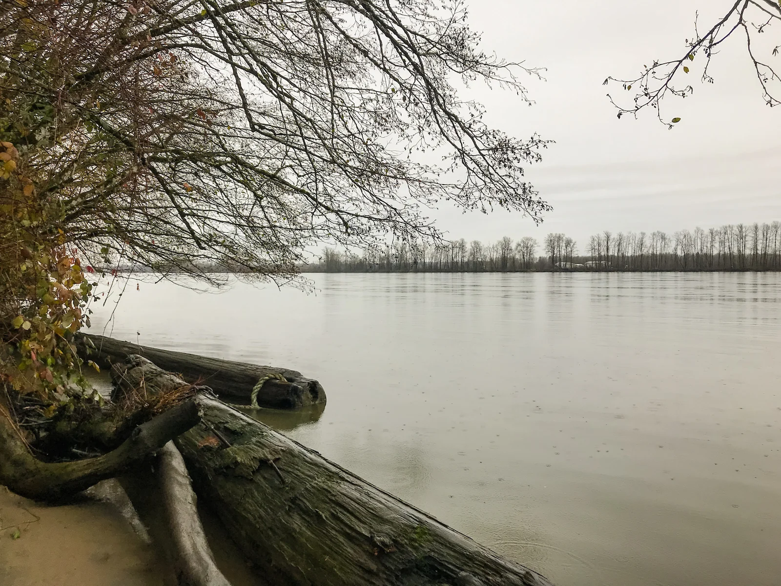 2018 Pitt Meadows-20.JPG