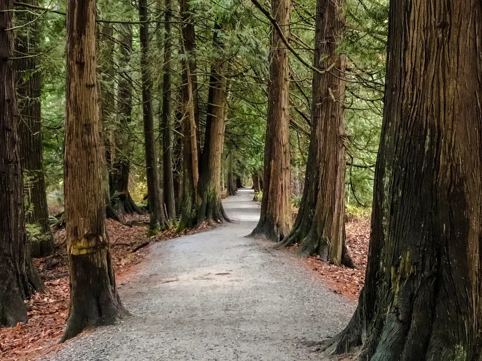 2018 Pitt Meadows-27.JPG