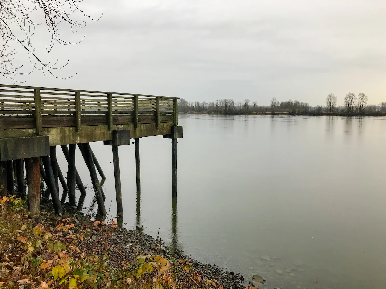 2018 Pitt Meadows-30.JPG