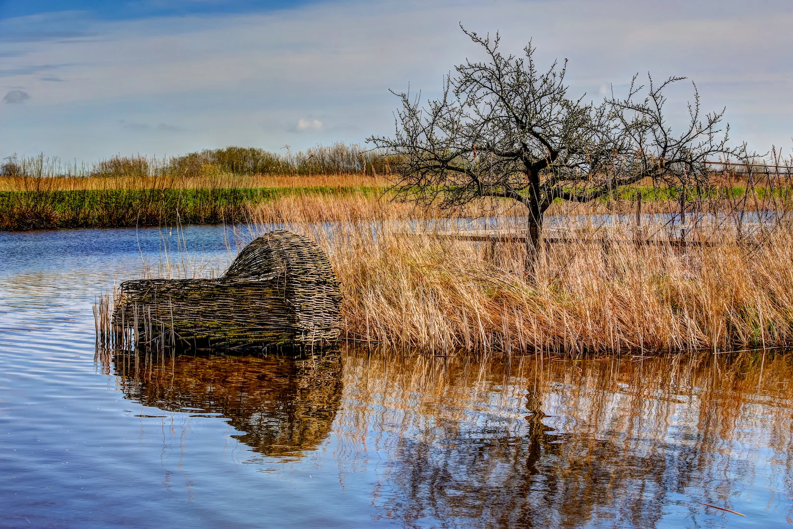 2019 KINDERDYK-31.JPG