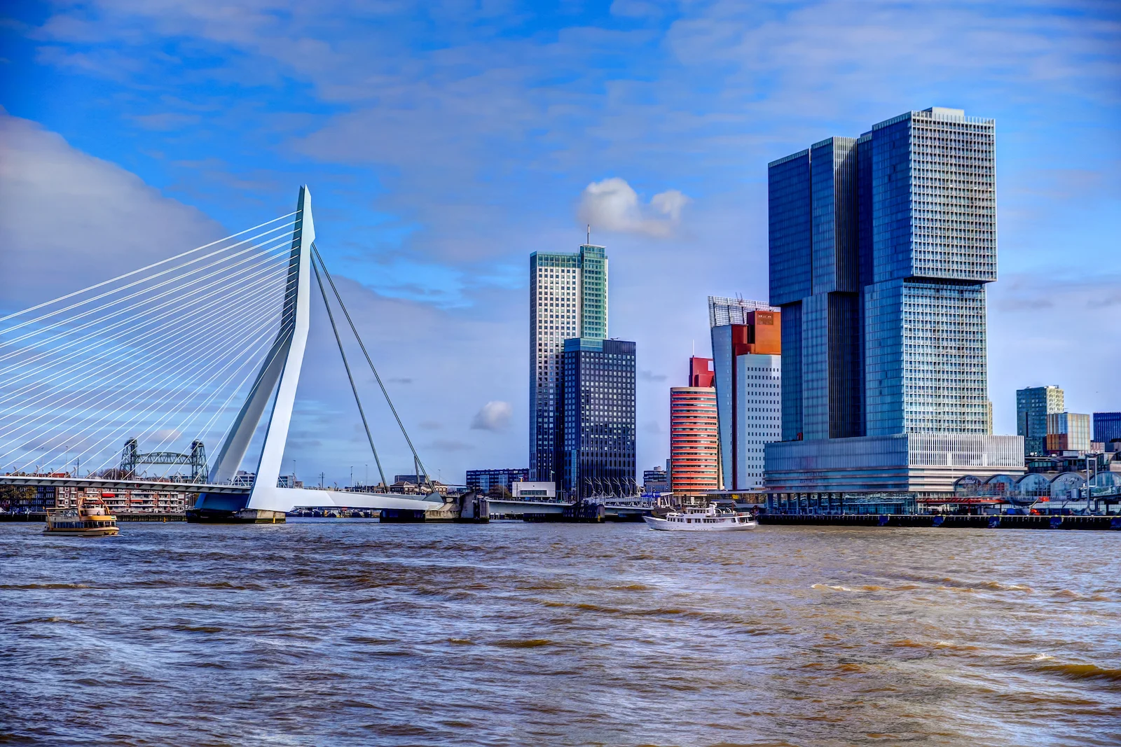 2019 ROTTERDAM-1.JPG