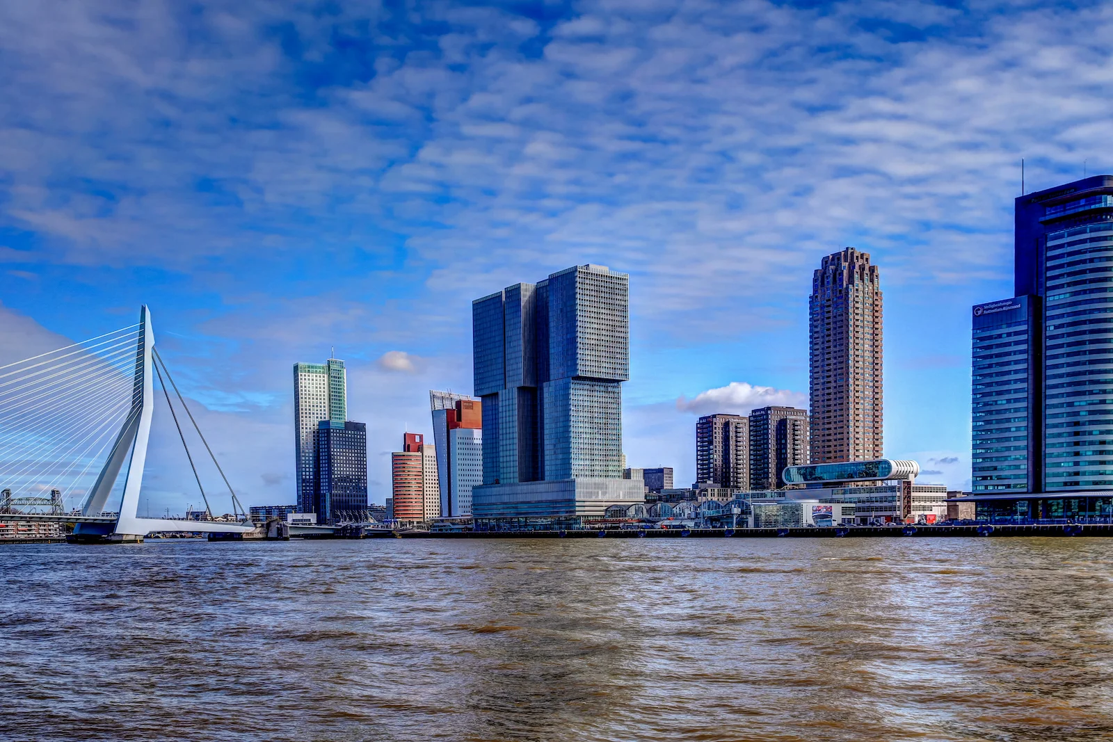 2019 ROTTERDAM-2.JPG