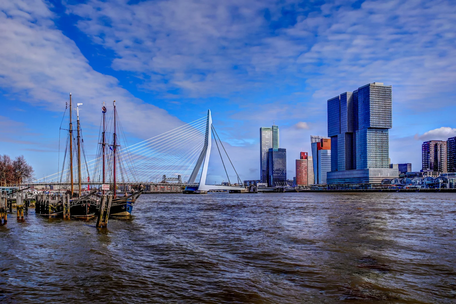 2019 ROTTERDAM-3.JPG