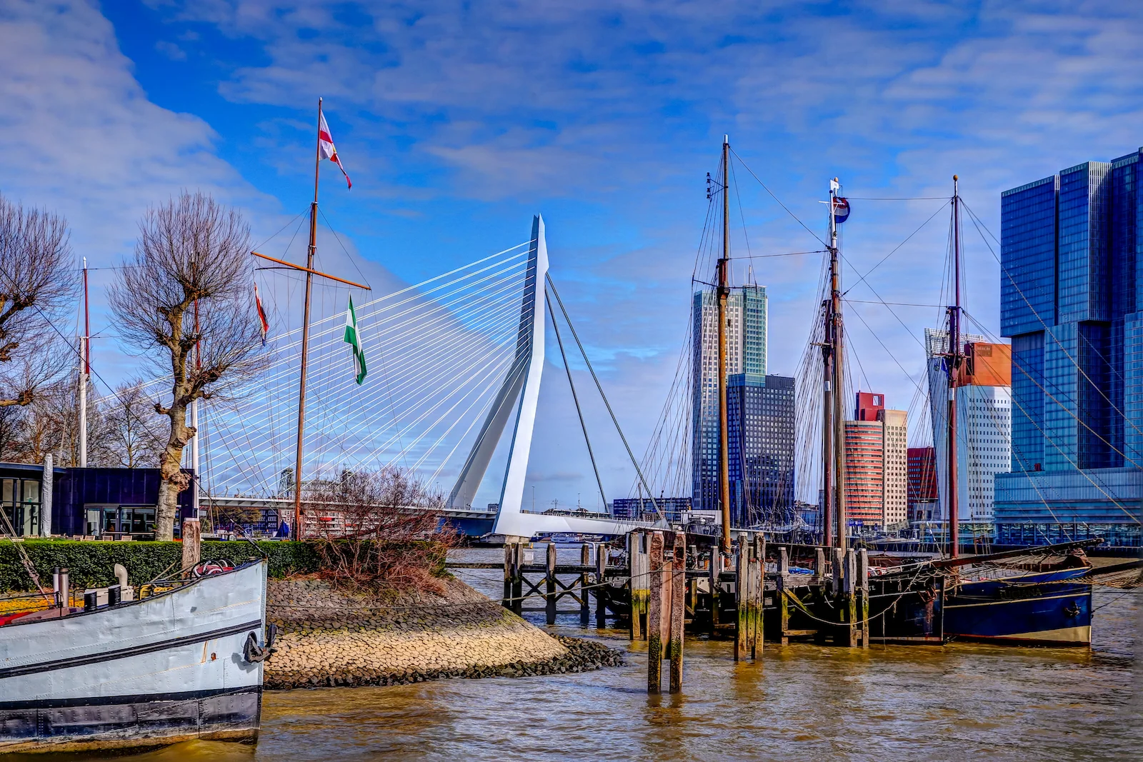 2019 ROTTERDAM-4.JPG