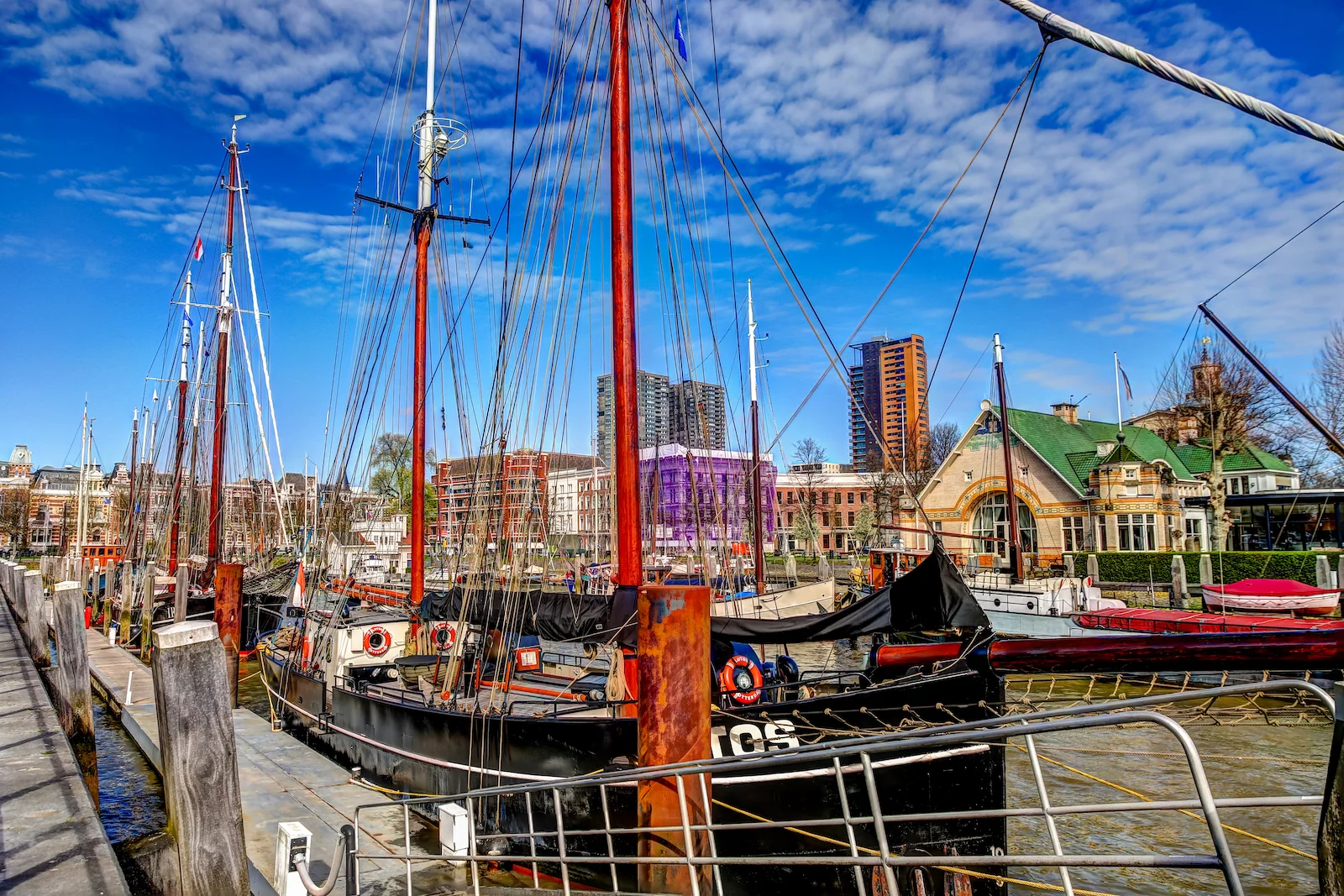 2019 ROTTERDAM-6.JPG