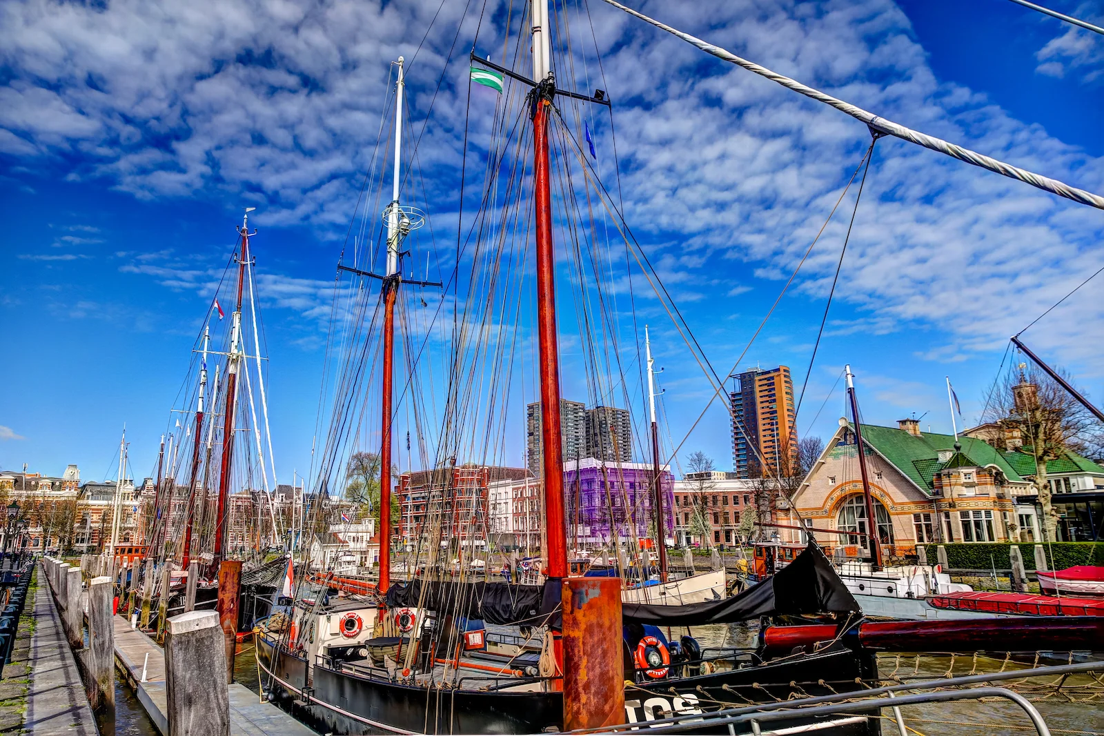 2019 ROTTERDAM-7.JPG