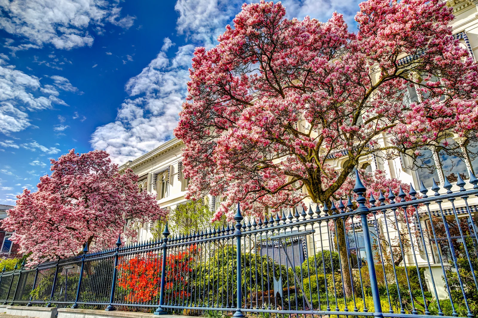 2019 ROTTERDAM-8.JPG