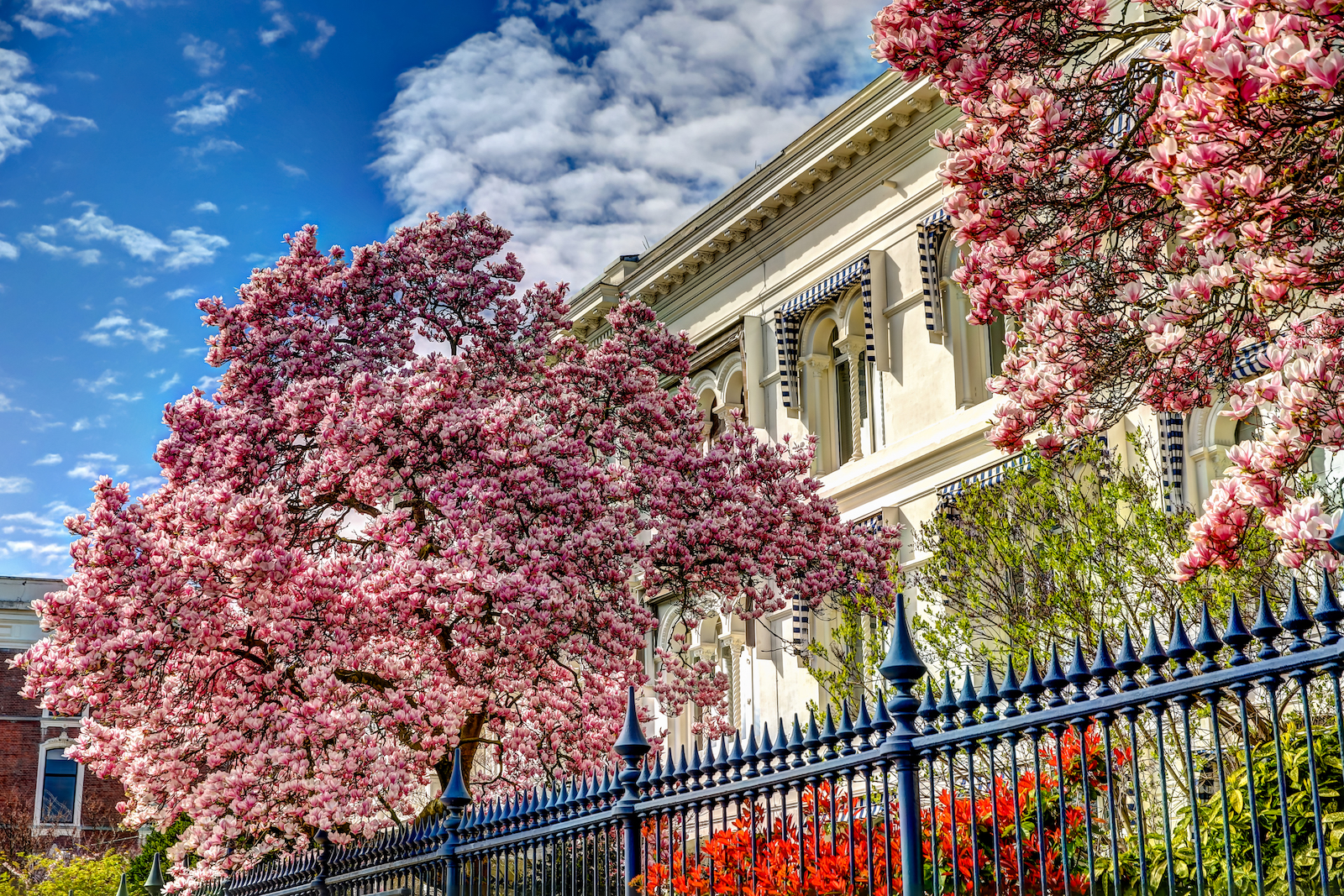 2019 ROTTERDAM-9.JPG