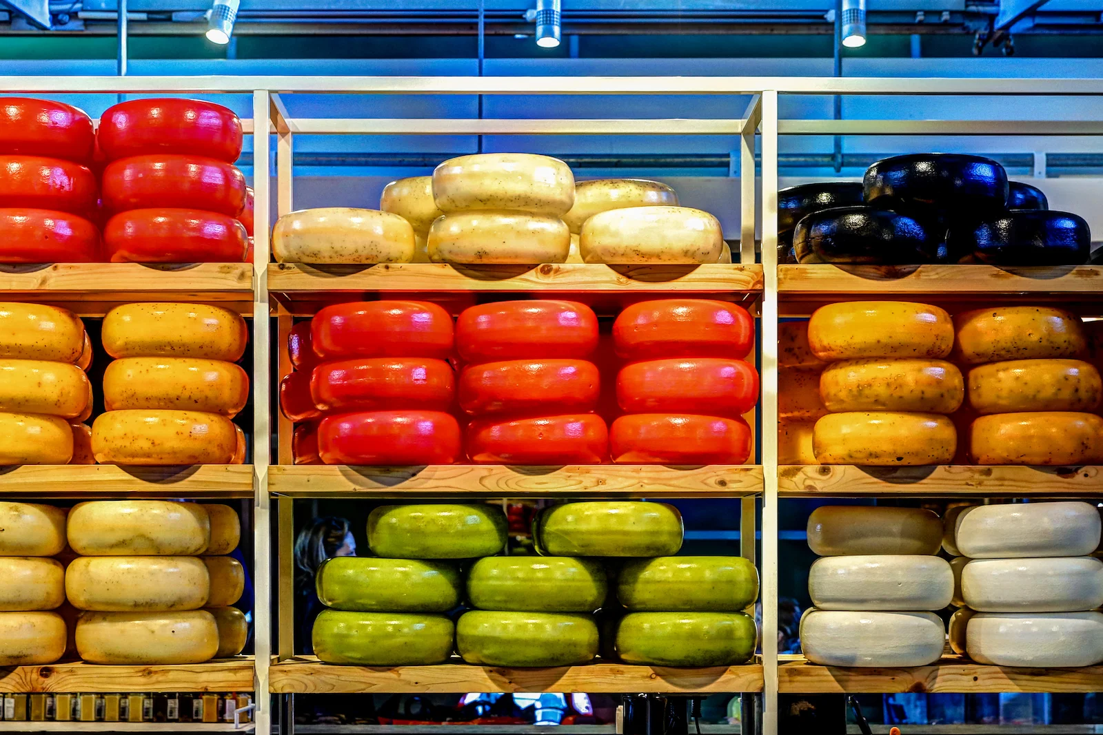 2019 ROTTERDAM-16.JPG