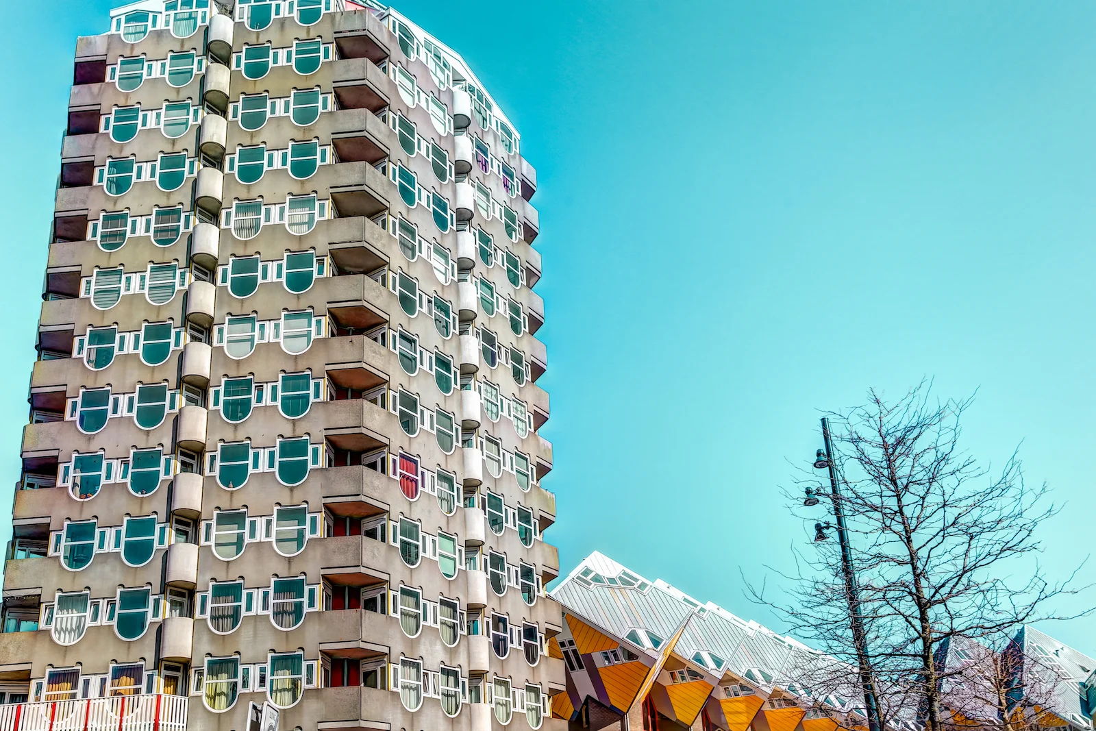 2019 ROTTERDAM-23.JPG