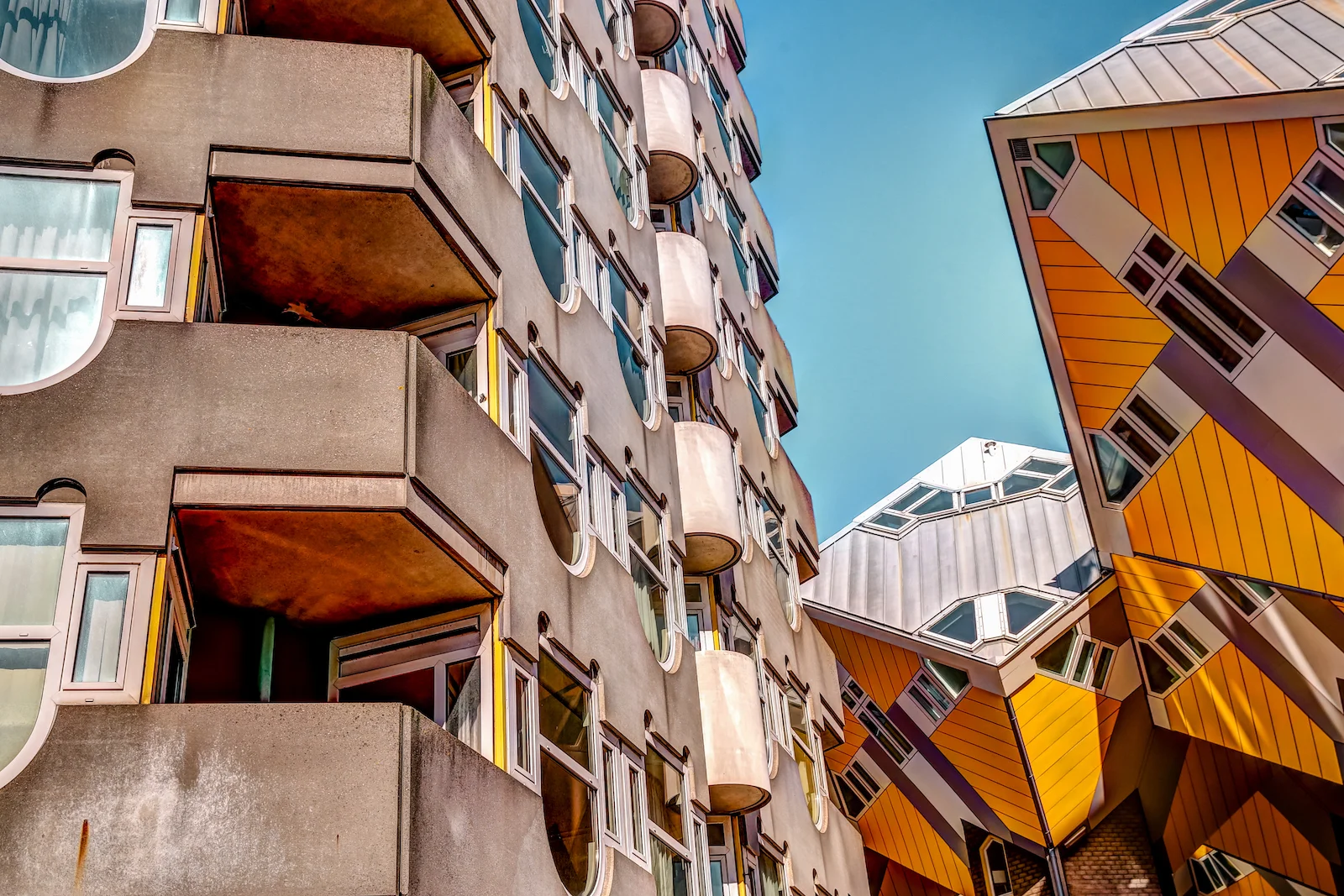 2019 ROTTERDAM-25.JPG