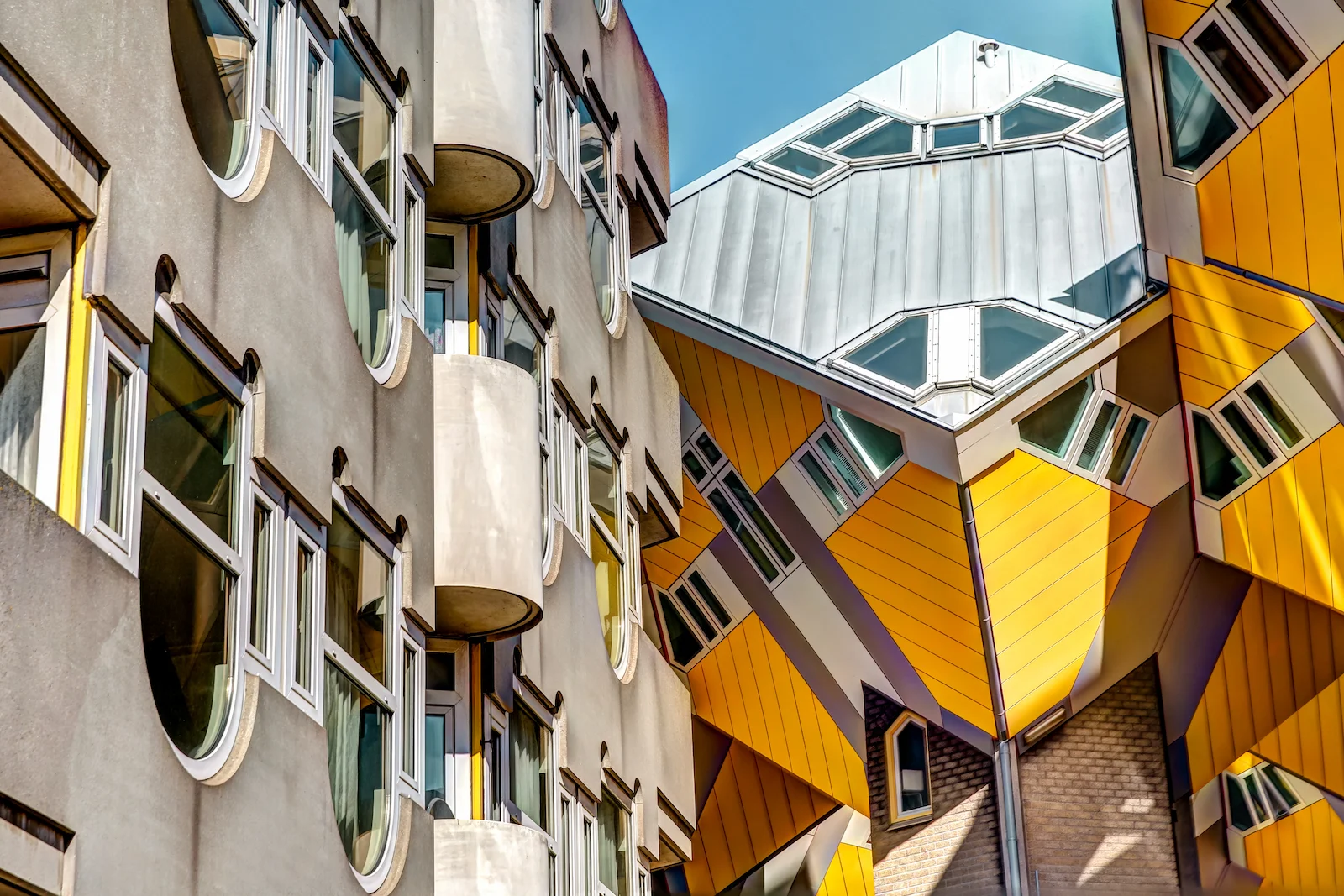 2019 ROTTERDAM-26.JPG