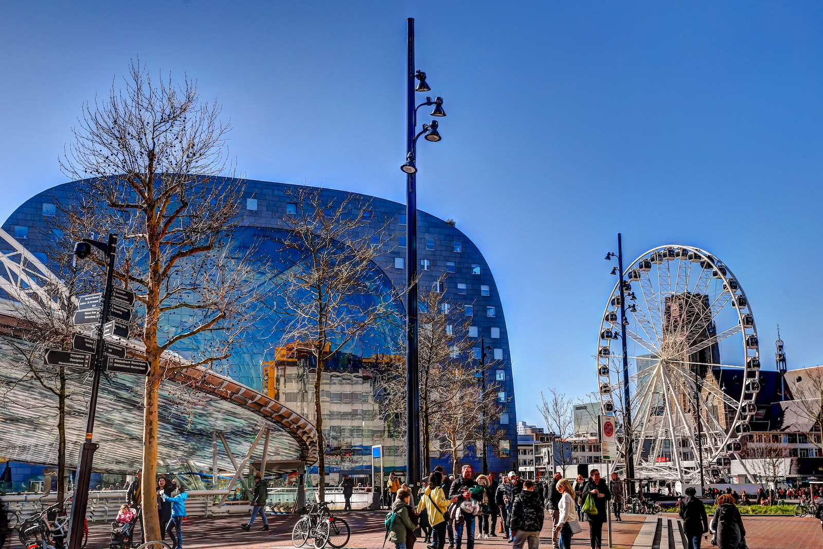 2019 ROTTERDAM-28.JPG