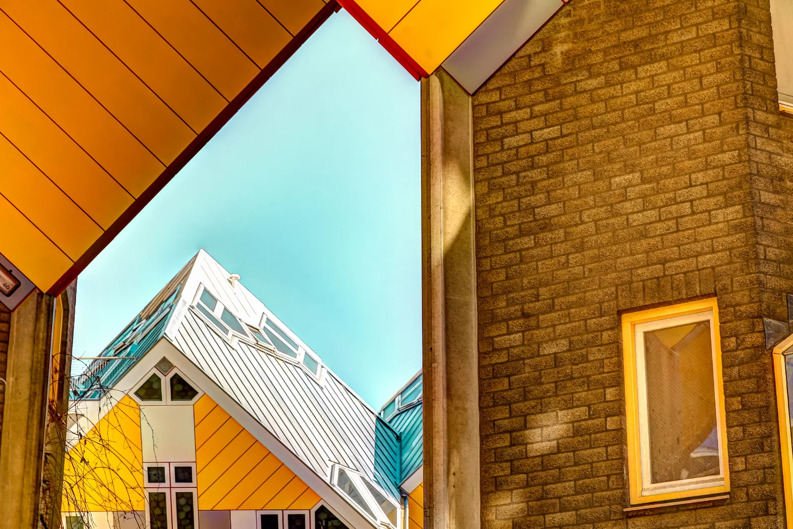 2019 ROTTERDAM-29.JPG