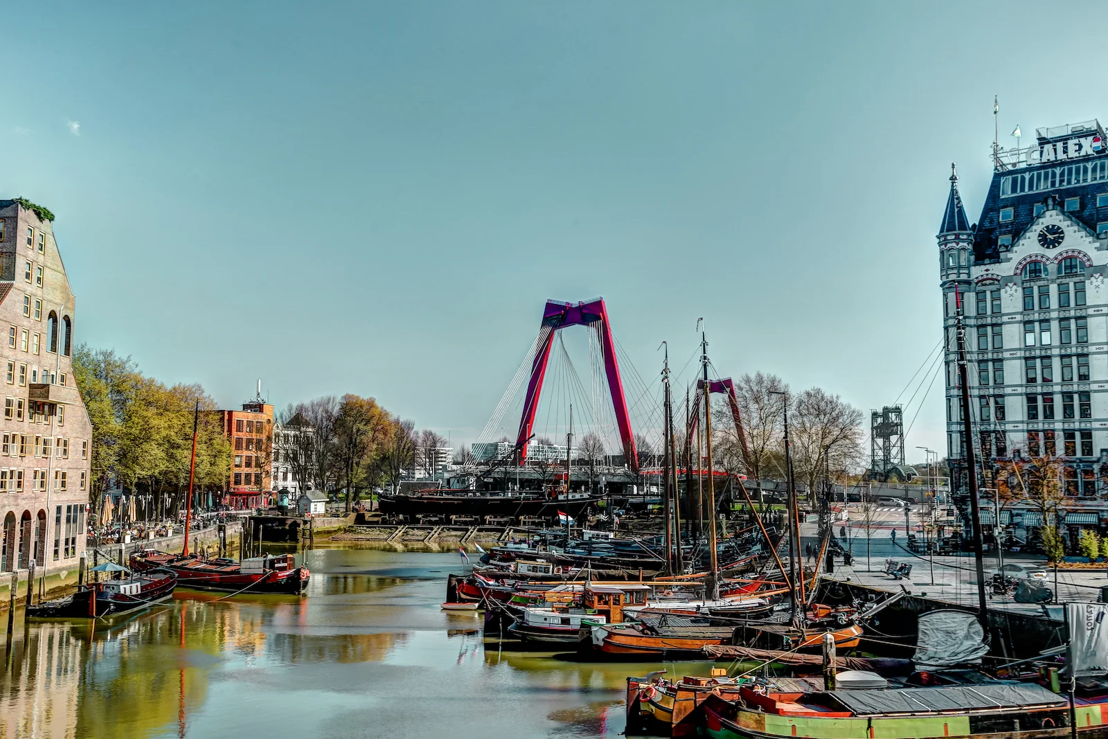 2019 ROTTERDAM-34.JPG