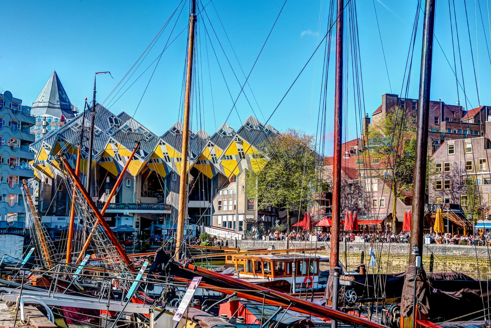 2019 ROTTERDAM-36.JPG