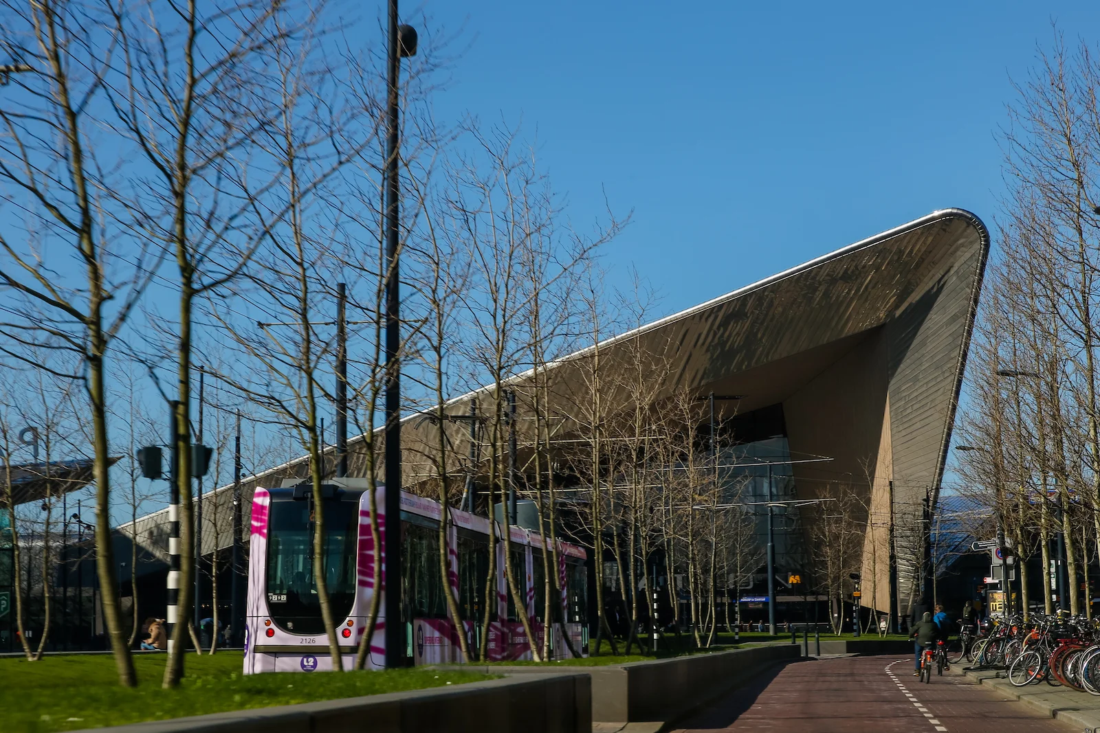 2019 ROTTERDAM-43.JPG