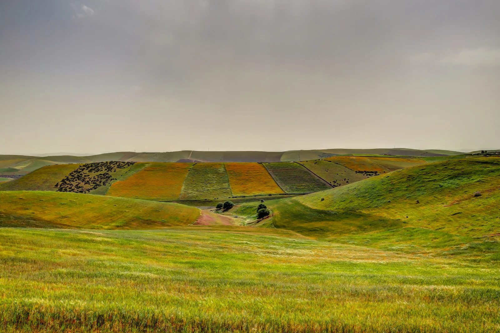 2019 DRIVE TO FES-2.JPG