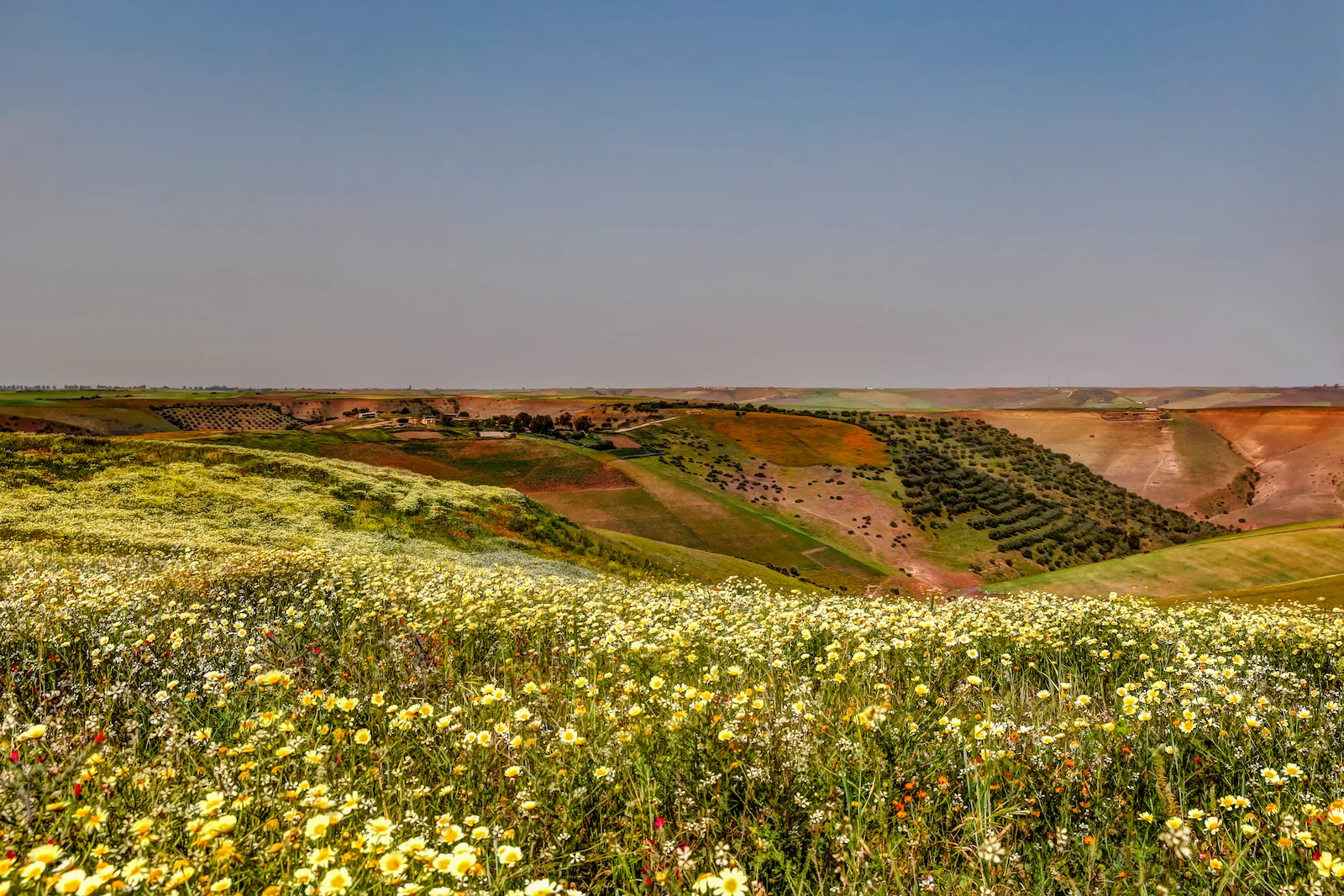 2019 DRIVE TO FES-3.JPG