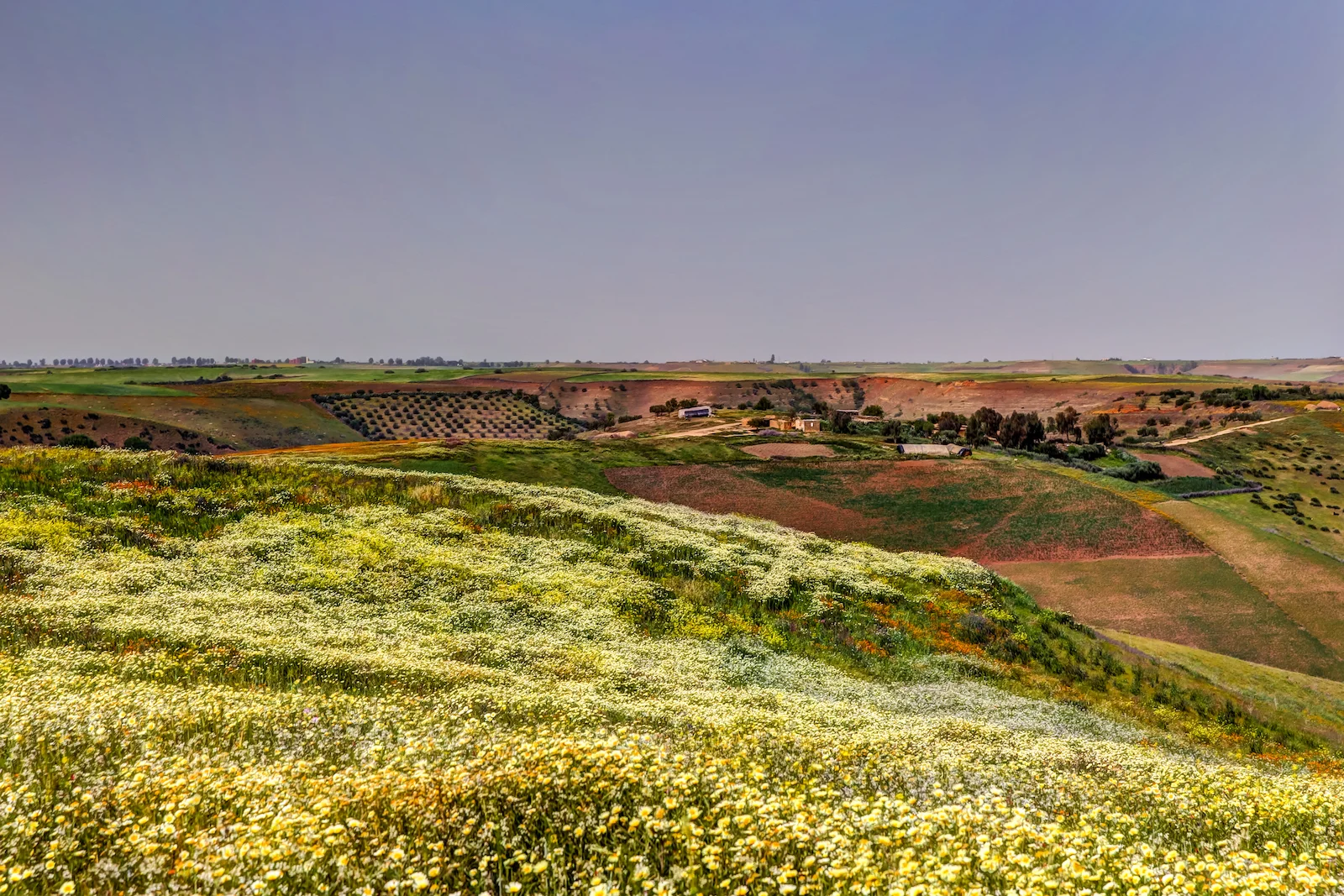 2019 DRIVE TO FES-4.JPG