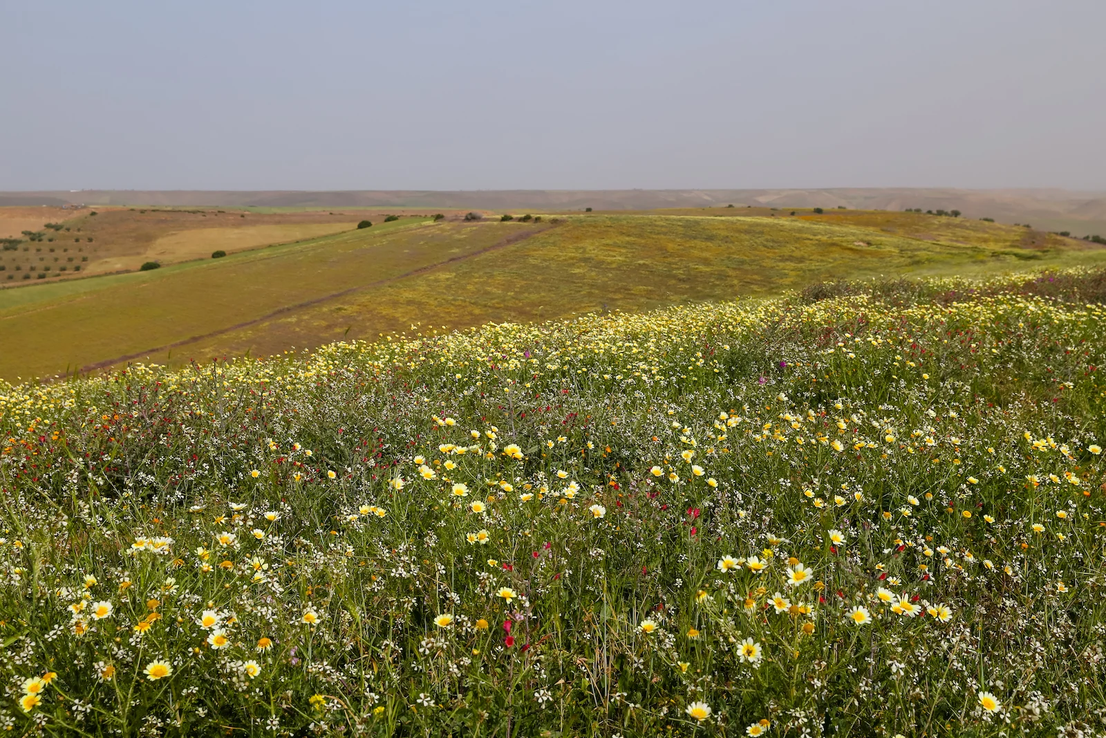 2019 DRIVE TO FES-5.JPG