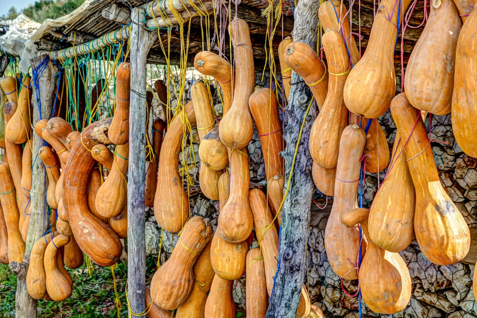 2019 DRIVE TO FES-8.JPG