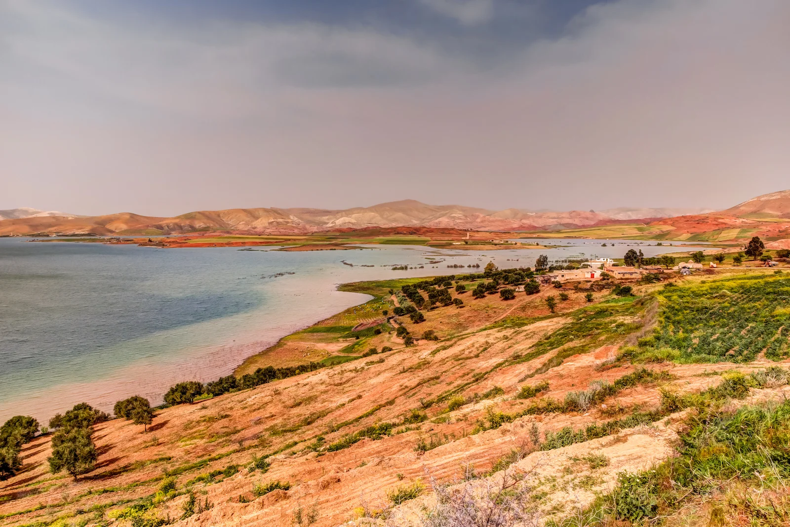 2019 DRIVE TO FES-9.JPG