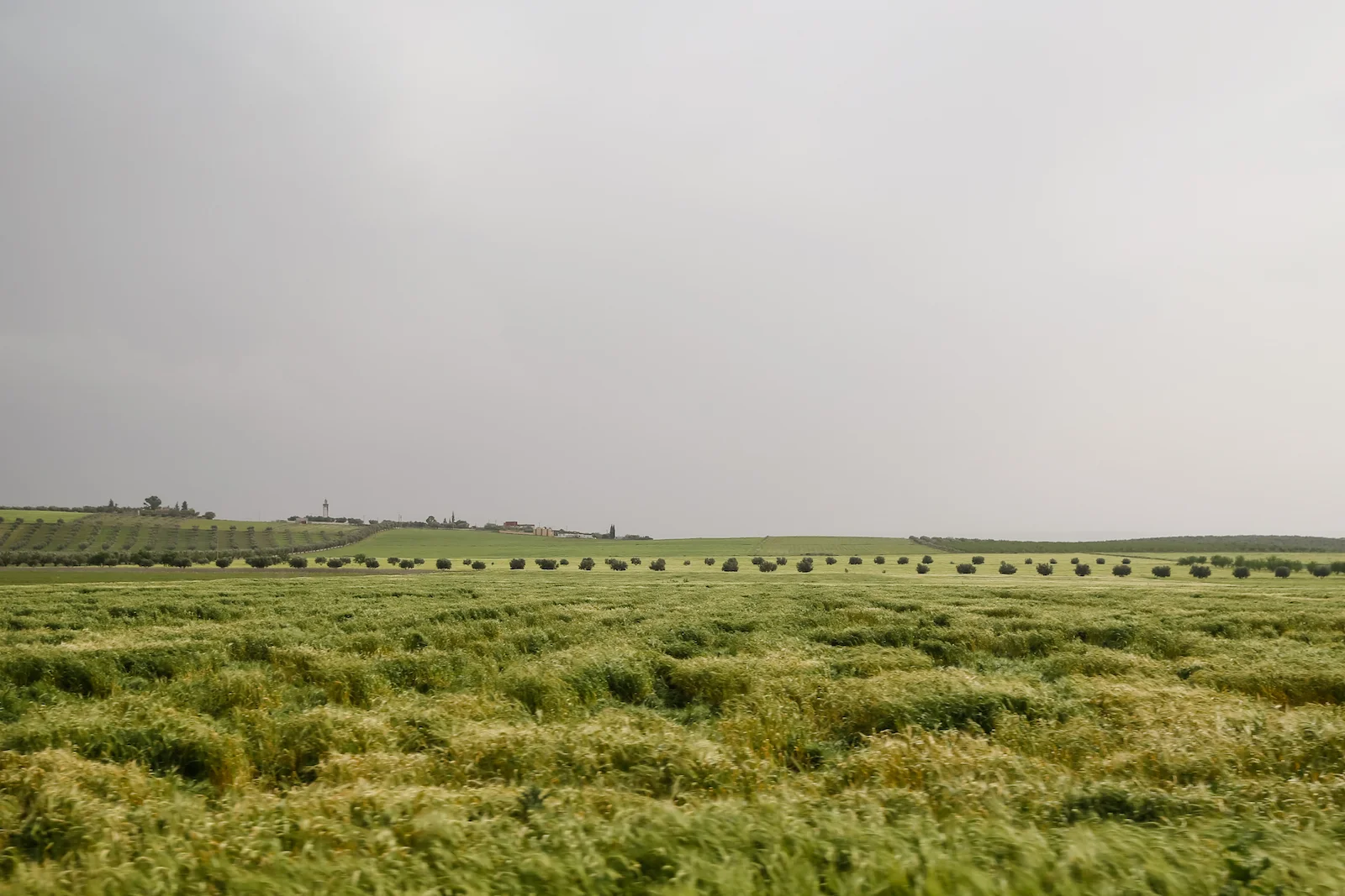 2019 DRIVE TO FES-11.JPG