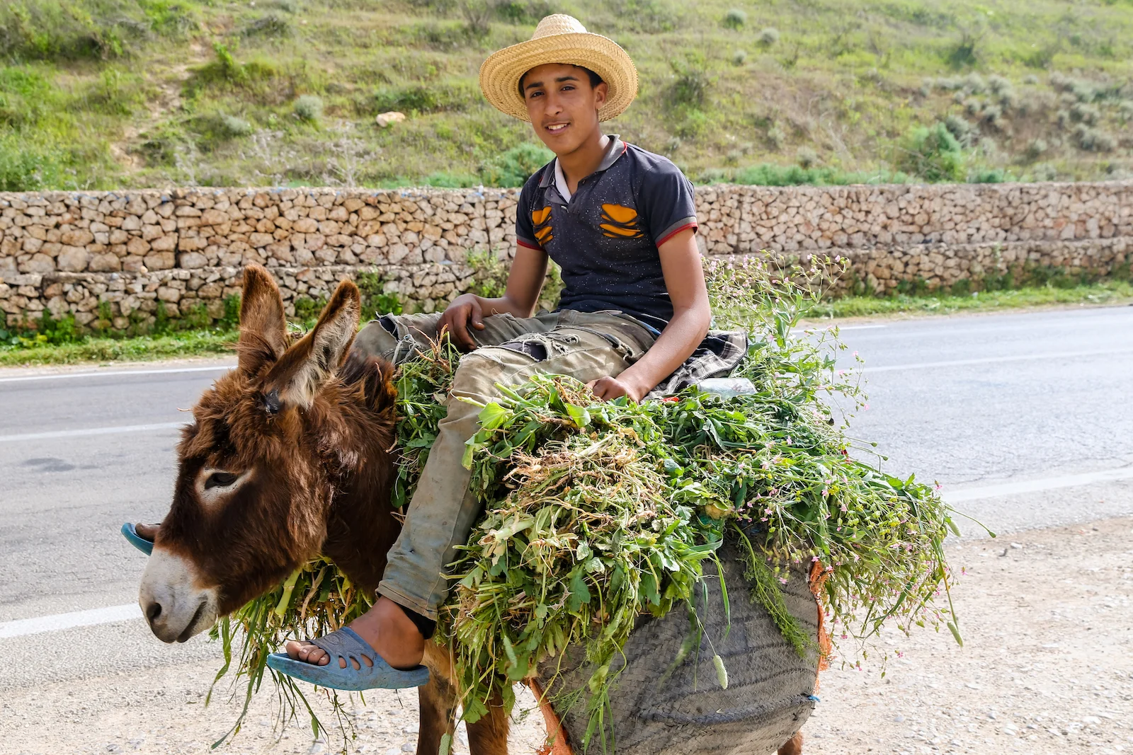 2019 DRIVE TO FES-10.JPG