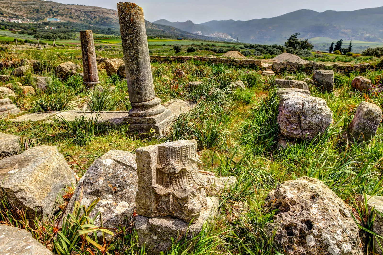 2019 DRIVE TO FES VOLUBILIS-2.JPG