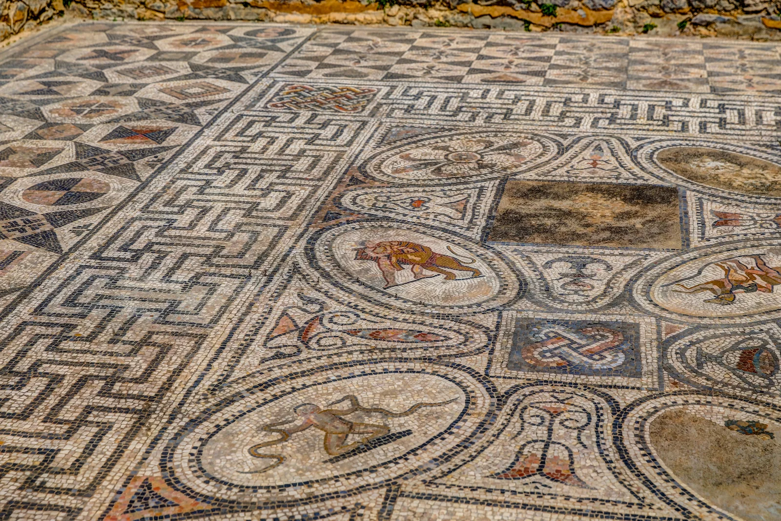 2019 DRIVE TO FES VOLUBILIS-7.JPG